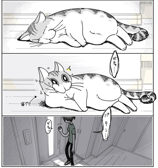 「寝てた猫」2/7