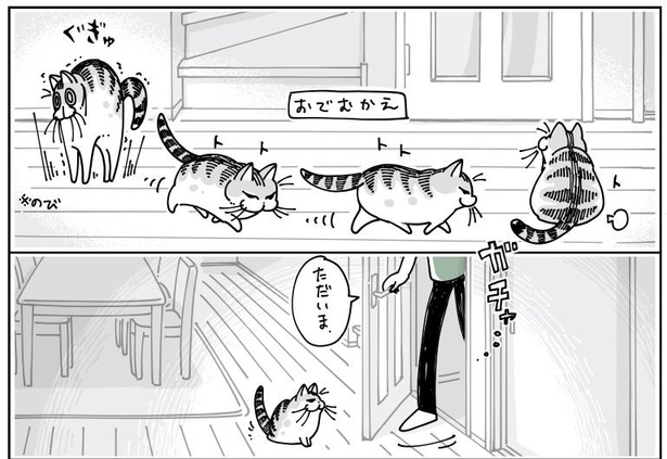 「寝てた猫」3/7