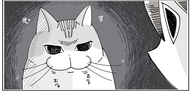 「寝てた猫」4/7