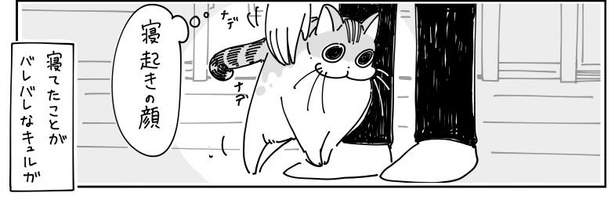 「寝てた猫」5/7
