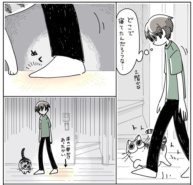 「寝てた猫」6/7