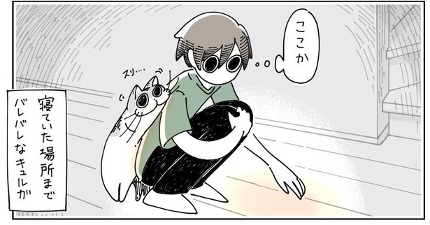 「寝てた猫」7/7