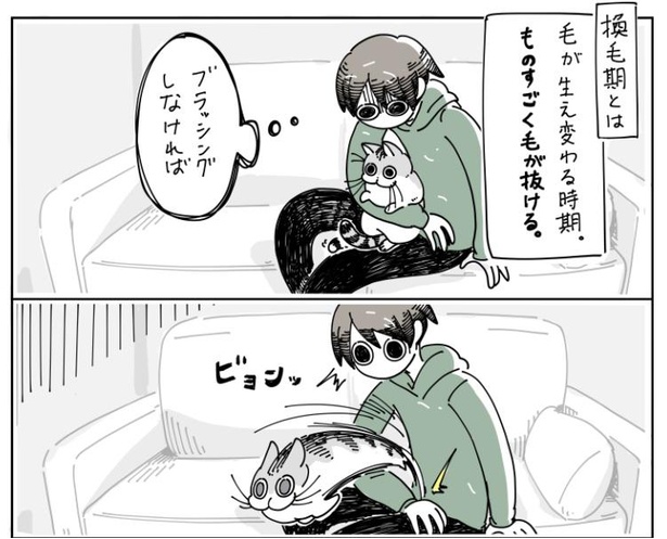「抜け毛の時期の猫」6/10