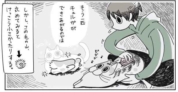 「抜け毛の時期の猫」10/10