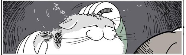 「抜け毛の時期の猫」4/10
