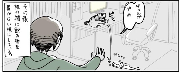 「物を落としたい猫」9/9