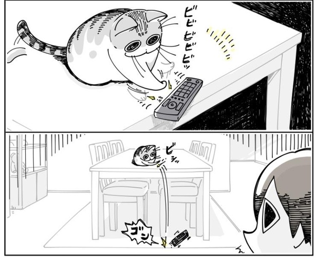 物を落としたい猫 隣にすわる猫 など 共感しかない 猫あるある 漫画がsnsで話題 ウォーカープラス