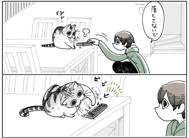 「物を落としたい猫」3/9