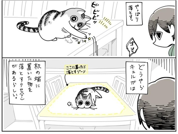 「物を落としたい猫」4/9