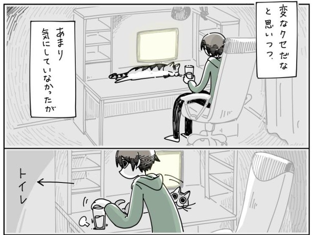 「物を落としたい猫」5/9