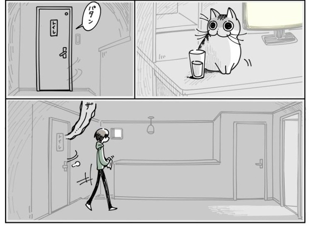 「物を落としたい猫」6/9
