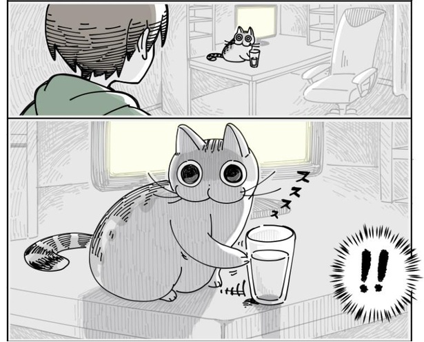 「物を落としたい猫」8/9