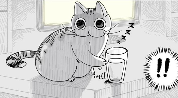 「わかりみが深い」“猫あるある”漫画がSNSで話題に