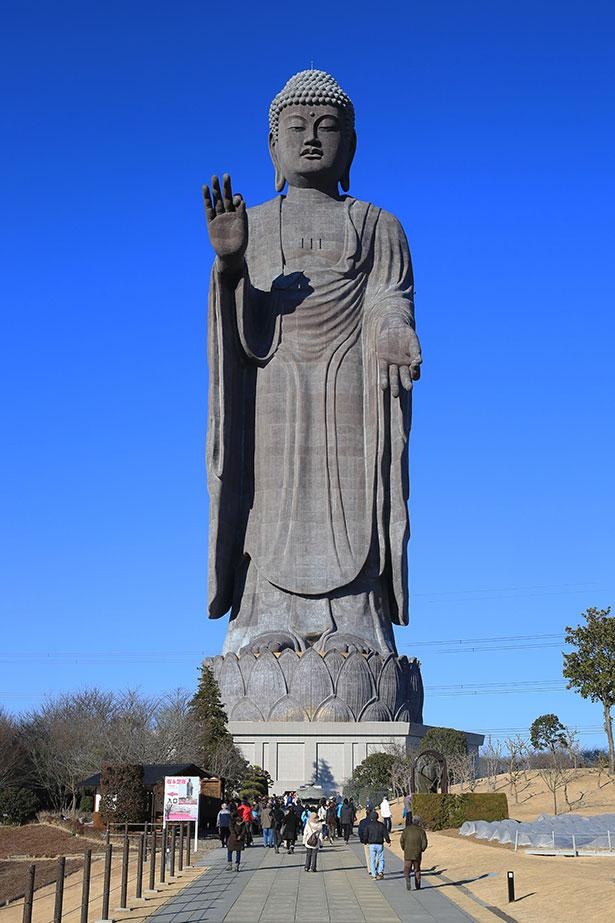 全長120メートル、世界一高い青銅製立像としてギネス世界記録に認定されている「牛久大仏」