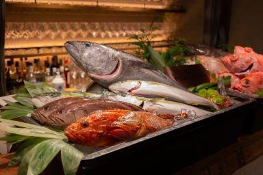 釣った魚を一流シェフが本格イタリアンに！六本木の「リストランテ ペスカトーレ」がリニューアルオープン