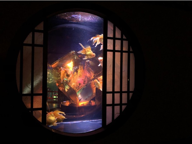 画像14 21 アートアクアリウム美術館 が東京 日本橋に開館 金魚約3万匹の幻想アートを楽しもう ウォーカープラス