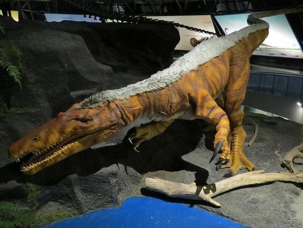 画像14 14 コロナ対策情報付き 笠岡市立カブトガニ博物館の 生きている化石 に感動 超リアルな恐竜たちにも出合える ウォーカープラス