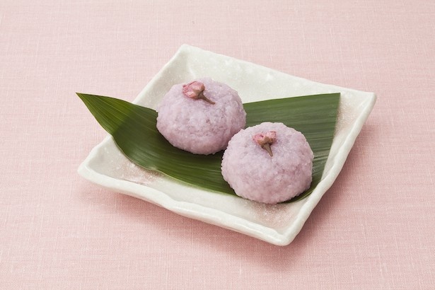 春の定番和菓子「桜もち」