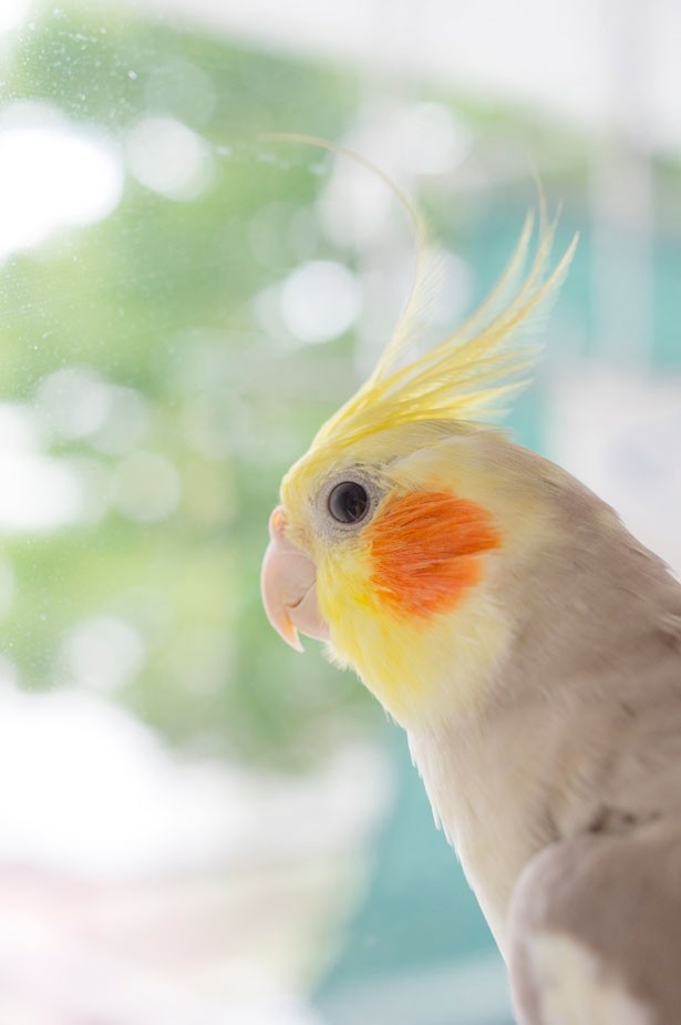 CP+ 2017「♯まみれ展」画像 35/40