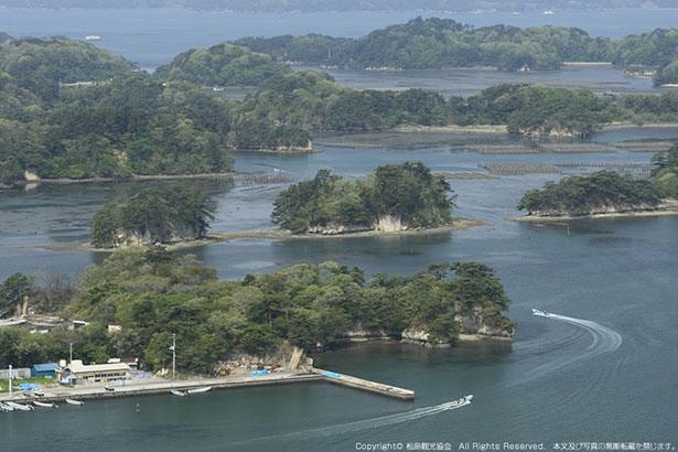 松島の形状を箱庭のように見られることから「壮観」の名が付いた大高森