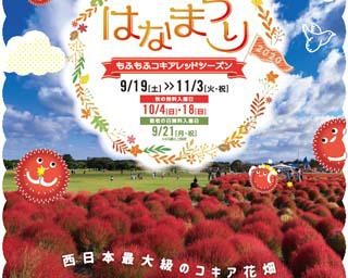 コキアの紅葉は絶景！福岡市の国営海の中道海浜公園で「もふもふコキア・レッドシーズン」開催