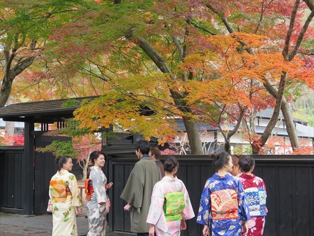 武家屋敷通りの紅葉