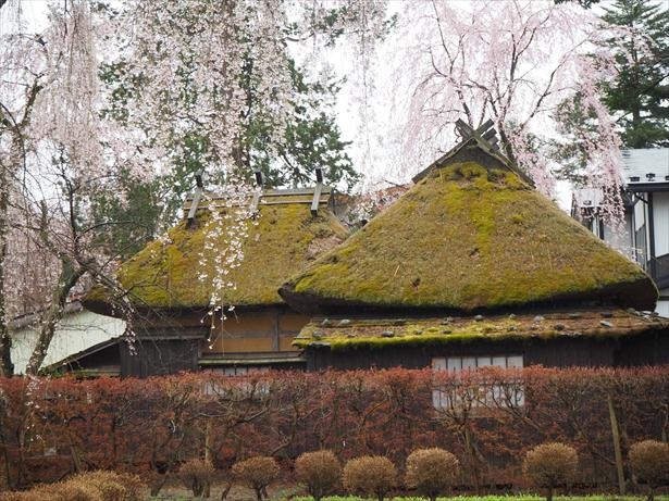 コロナ対策情報付き 角館武家屋敷の楽しみ方完全ガイド 角館武家屋敷の楽しみ方完全ガイド 江戸時代の面影の残す町並みは歴史好き必見 ウォーカープラス