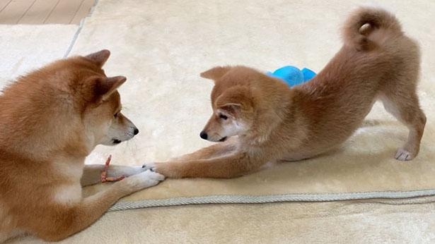 のびーっ