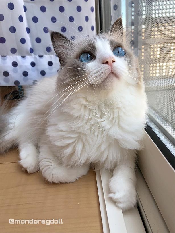 窓の外を見てボンヤリ