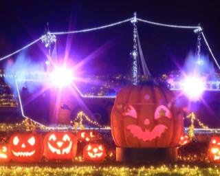 埼玉県の国営武蔵丘陵森林公園で約50万球のアートイルミネーション「森林公園 森のハロウィンナイト」開催