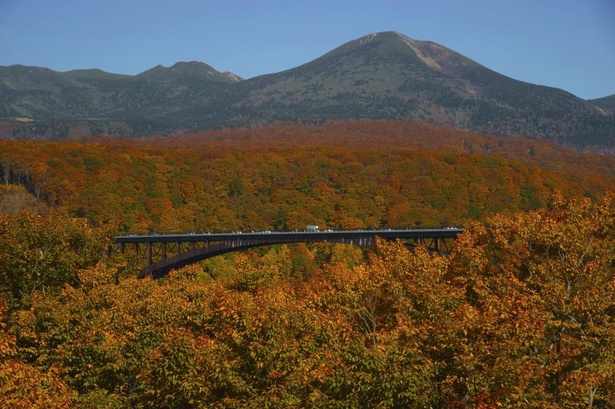 城ヶ倉大橋のまわりも赤と黄色で色づく