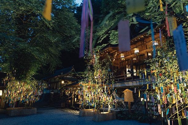 七夕笹飾りライトアップは貴船神社の夏の風物詩。短冊に願い事を込めてみよう