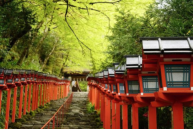 京の奥座敷 貴船神社 の見どころを徹底ガイド 水 や えんむすび にまつわるお守りやお土産も コロナ対策情報付き ウォーカープラス