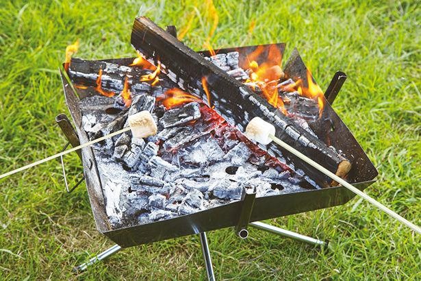 【写真】食後は炭の上に薪をくべ、焚き火で焼きマシュマロ(150円)を作るのもいい / 青川峡キャンピングパーク