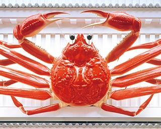 かに道楽でフレンチ！？創業60周年記念料理フェアを食べてみた