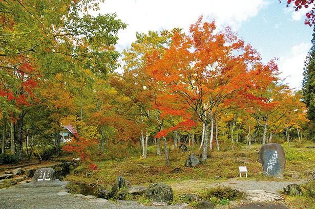 ひるがの分水嶺公園(岐阜県郡上市)
