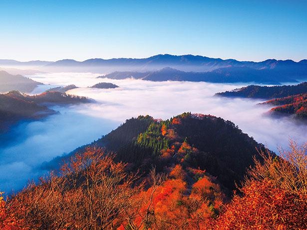 小入谷(滋賀県高島市)