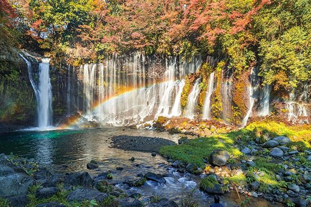 白糸の滝(静岡県富士宮市)