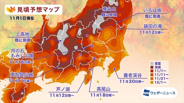 関東の紅葉(モミジ)見頃予想マップ(情報は2023年11月1日発表 ウェザーニューズ)