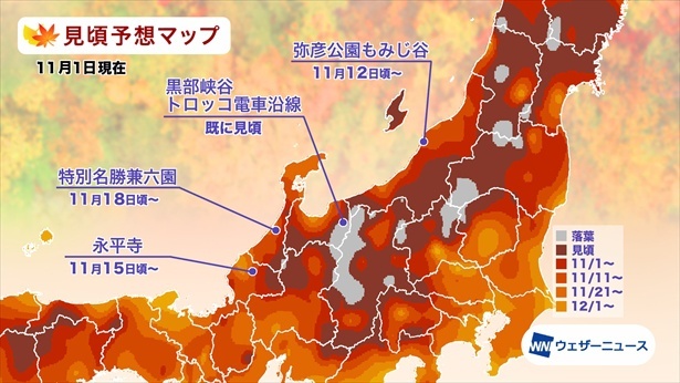 北陸の紅葉(モミジ)見頃予想マップ(情報は2023年11月1日発表 ウェザーニューズ)