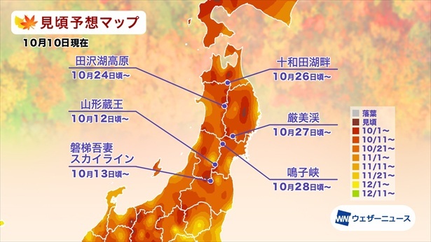 東北の紅葉(モミジ)見頃予想マップ(情報は2024年10月10日発表 ウェザーニューズ)