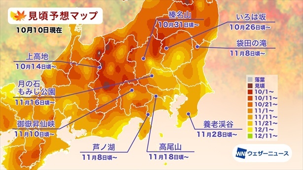 関東の紅葉(モミジ)見頃予想マップ(情報は2024年10月10日発表 ウェザーニューズ)