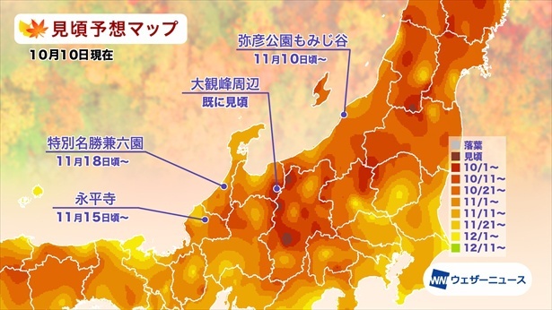 北陸の紅葉(モミジ)見頃予想マップ(情報は2024年10月10日発表 ウェザーニューズ)