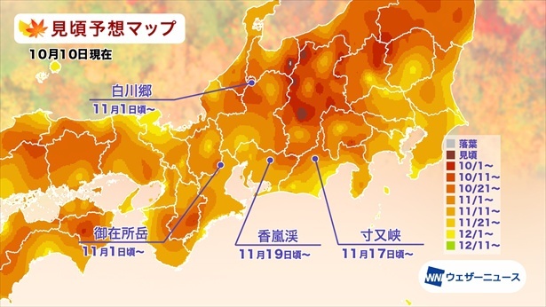 東海の紅葉(モミジ)見頃予想マップ(情報は2024年10月10日発表 ウェザーニューズ)