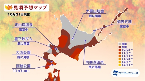 北海道の紅葉(モミジ)見頃予想マップ(情報は2024年10月31日発表 ウェザーニューズ)