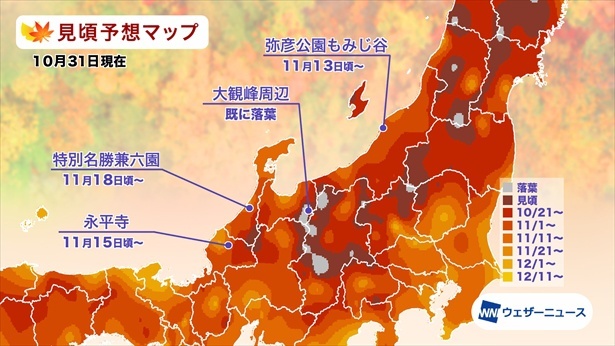 北陸の紅葉(モミジ)見頃予想マップ(情報は2024年10月31日発表 ウェザーニューズ)