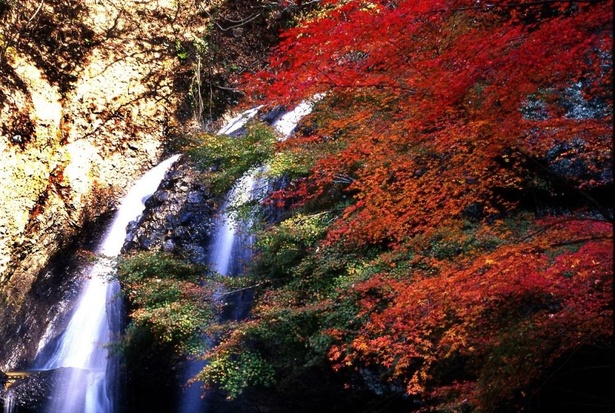 「月待の滝」では、ヤマモミジやカエデなどの紅葉が見られる