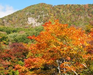 佐渡一の紅葉を堪能！新潟県佐渡市の紅葉山で紅葉が見頃