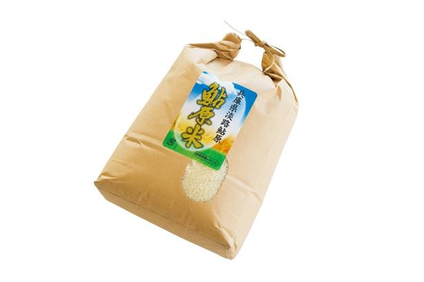絹のような光沢のあるキヌヒカリの「鮎原米」(5キロ2200円)など、秋には島産の新米が登場 / 淡路島タコステ