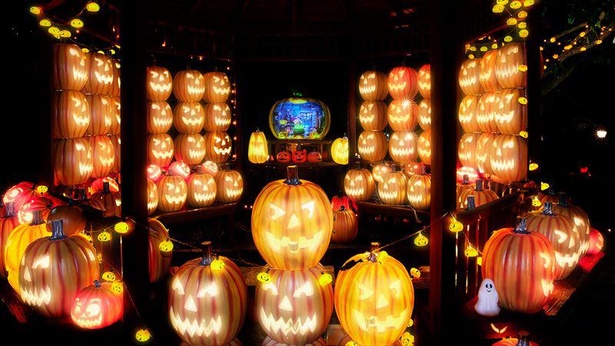 長崎ハウステンボスで秋の季節しか楽しめないライトアップイベント 秋の光の王国 が開催中 ウォーカープラス